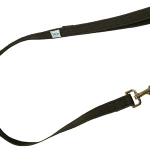 Dog Lead